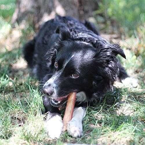 100% Natural Brazilian Bully Sticks - 1 lb Bag 10.00% Off Auto renew - Canyon Pet Supplies'