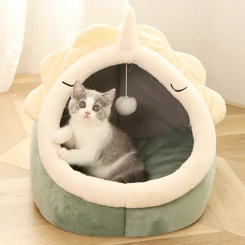 Adorable Dinosaur Pet House with Toy - Canyon Pet Supplies'