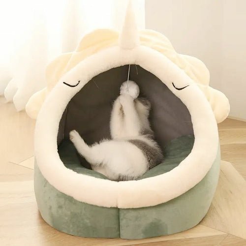 Adorable Dinosaur Pet House with Toy - Canyon Pet Supplies'