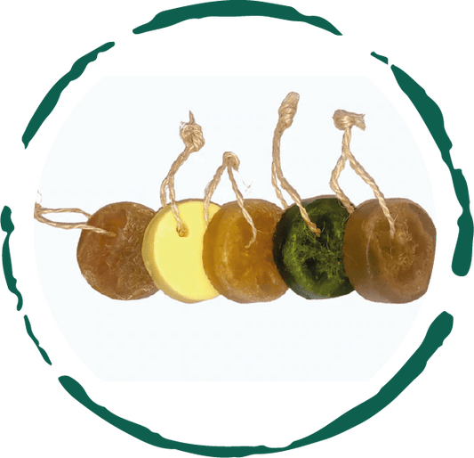 Artisanal Soap Collection - Canyon Pet Supplies'