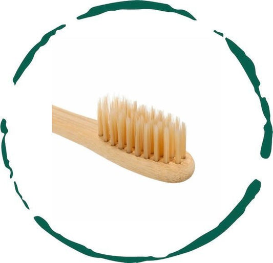 Bamboo Toothbrush. Soft, Eco - Friendly - Canyon Pet Supplies'