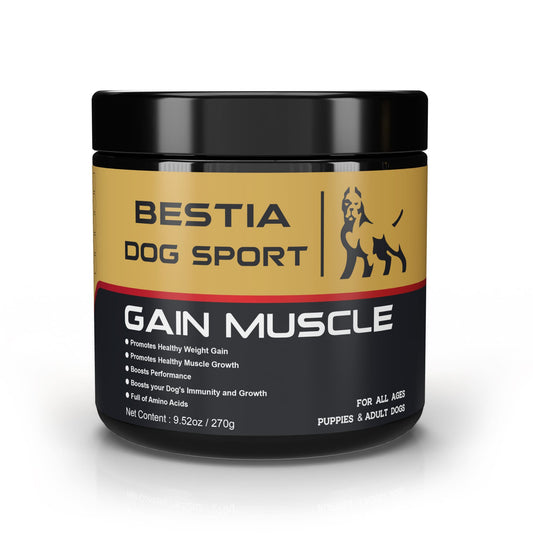 BDS Gain Muscle Dog Food Supplement - Canyon Pet Supplies