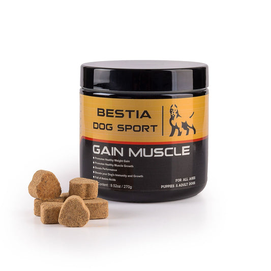 BDS Gain Muscle Dog Food Supplement - Canyon Pet Supplies