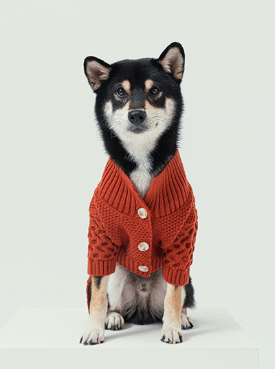 BERT CARDIGAN SWEATER - ORANGE - Canyon Pet Supplies'