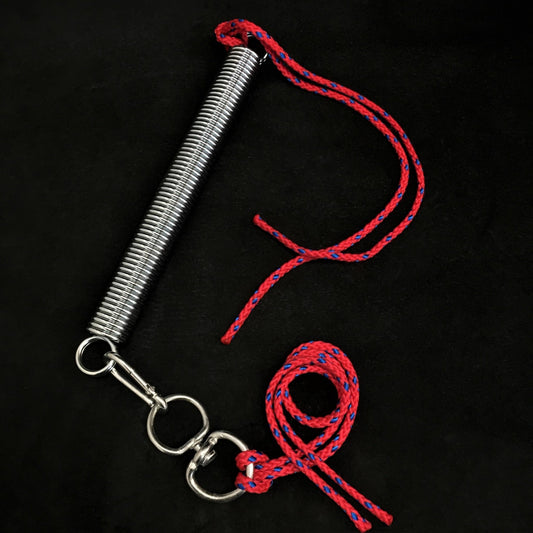BESTIA Training Spring Set - Canyon Pet Supplies