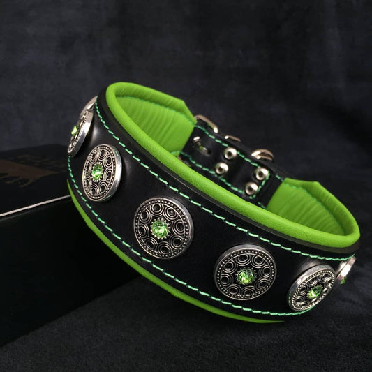 "Bijou" collar black & green - Canyon Pet Supplies'