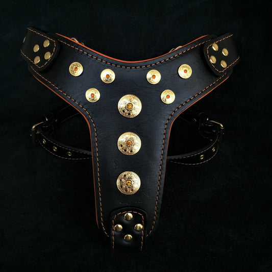 ''Bijou'' harness Black & Orange for big dogs - Canyon Pet Supplies