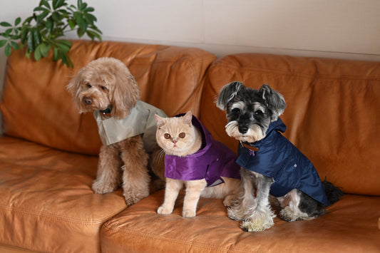 Capsule Raincoat - Blue - Canyon Pet Supplies'