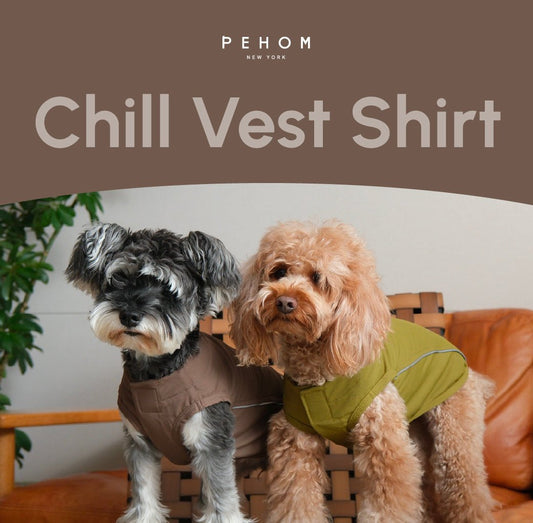 CHILL VEST SHIRT - BLUE - Canyon Pet Supplies'