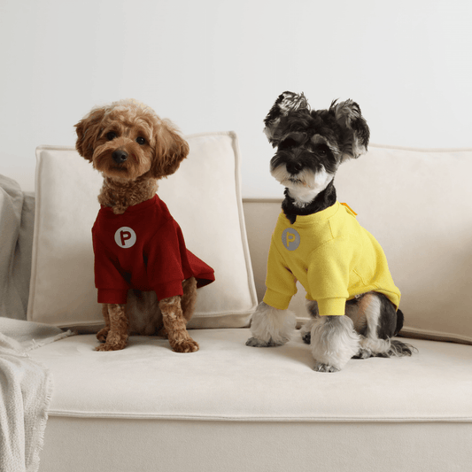 Embroidery Waffle T-Shirt - Yellow - Canyon Pet Supplies'