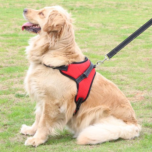 Fast Shipping Adjustable Dog Pet Harness - Canyon Pet Supplies'