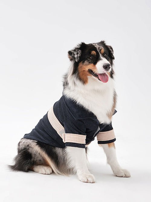 ROPE SHIRT - BLUE BEIGE - Canyon Pet Supplies'