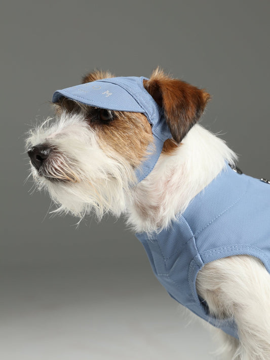 TENNIS HAT - BLUE - Canyon Pet Supplies'