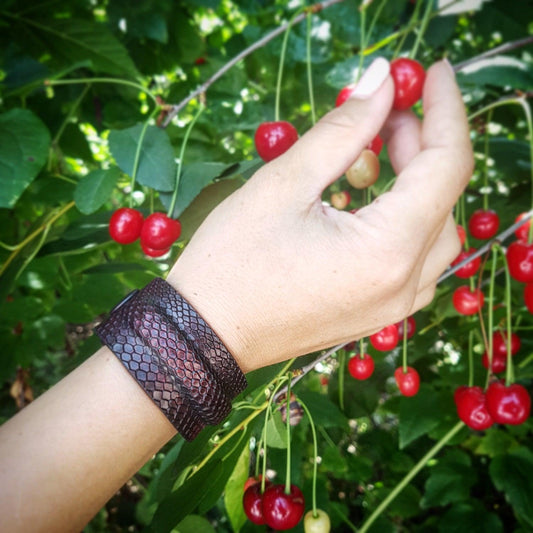 The ''Cobra'' bracelet - Canyon Pet Supplies'