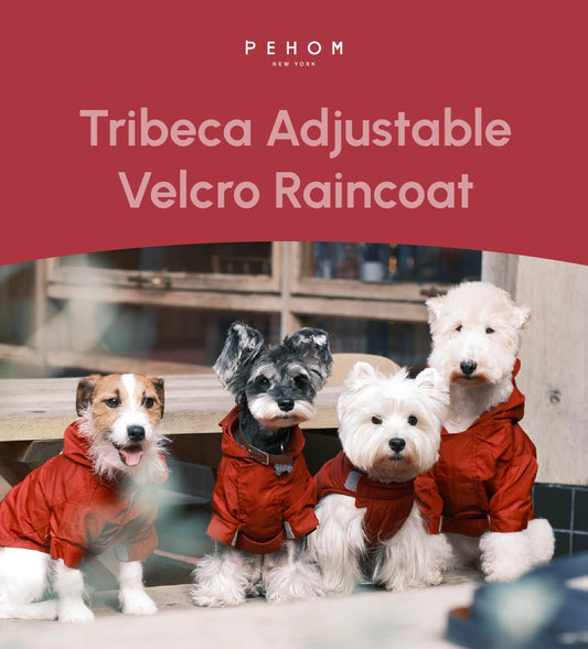 Tribeca adjustable velcro raincoat - Burgundy - Canyon Pet Supplies'