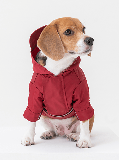 Tribeca adjustable velcro raincoat - Burgundy - Canyon Pet Supplies'