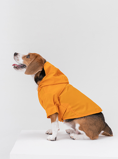 Tribeca adjustable velcro raincoat - Egg Yolk - Canyon Pet Supplies'