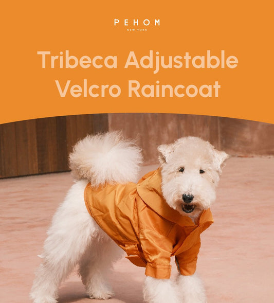 Tribeca adjustable velcro raincoat - Egg Yolk - Canyon Pet Supplies'
